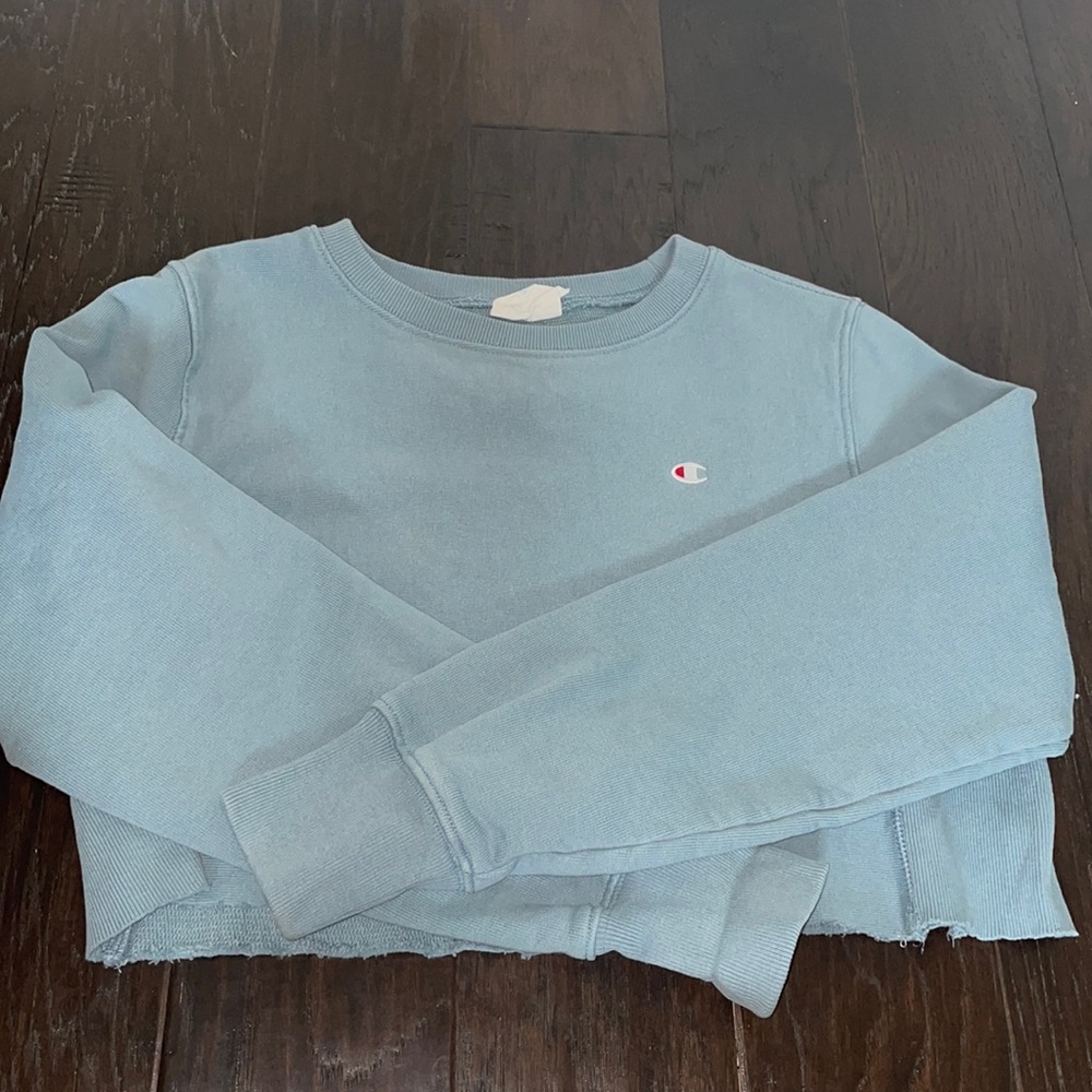 baby blue champion cropped sweatshirt
